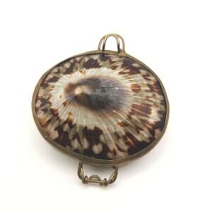 Natural Sea Shell Vtg Brass Frame Locking Case Trinket Stash Beachy Earth Witchy